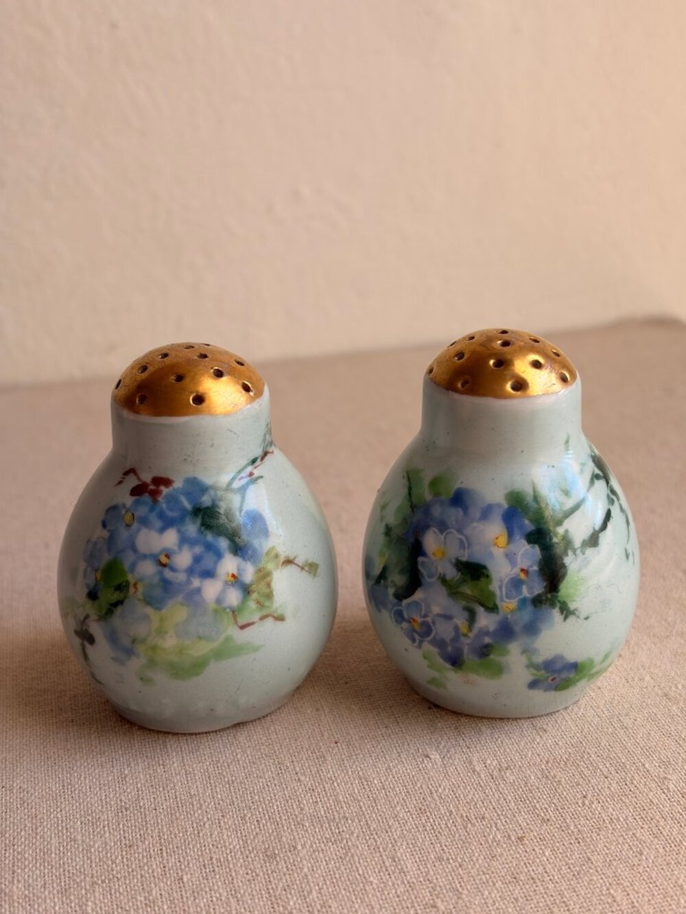 Hand Painted Porcelain Salt & Pepper Shakers Blue Forget-Me-Not Floral Gold Top